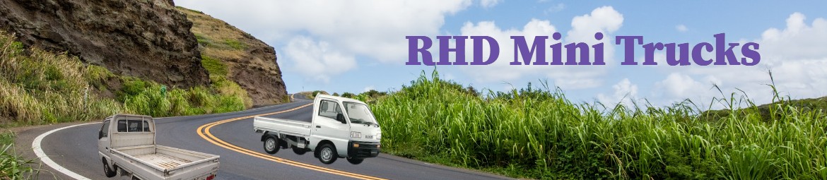 RHD Japanese Mini Trucks on road